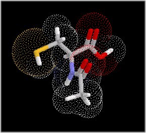 NAC-3d.jpg (24569 Byte)