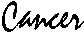 cancer.gif (340 Byte)